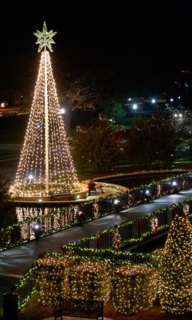 Photo of Christmas lights around the fountain 2011.