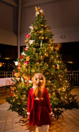 Photo of the Christmas Lighting Giving Tree. Photo by Derek Eckenroth, 2013
